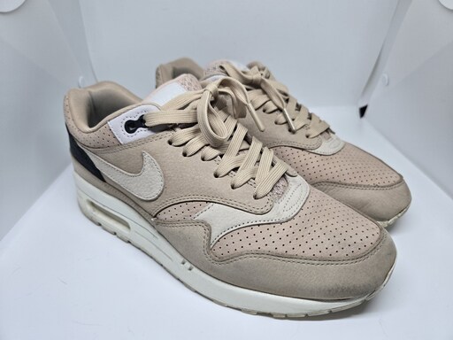 Nike Air Max 1 Pinnacle Mushroom