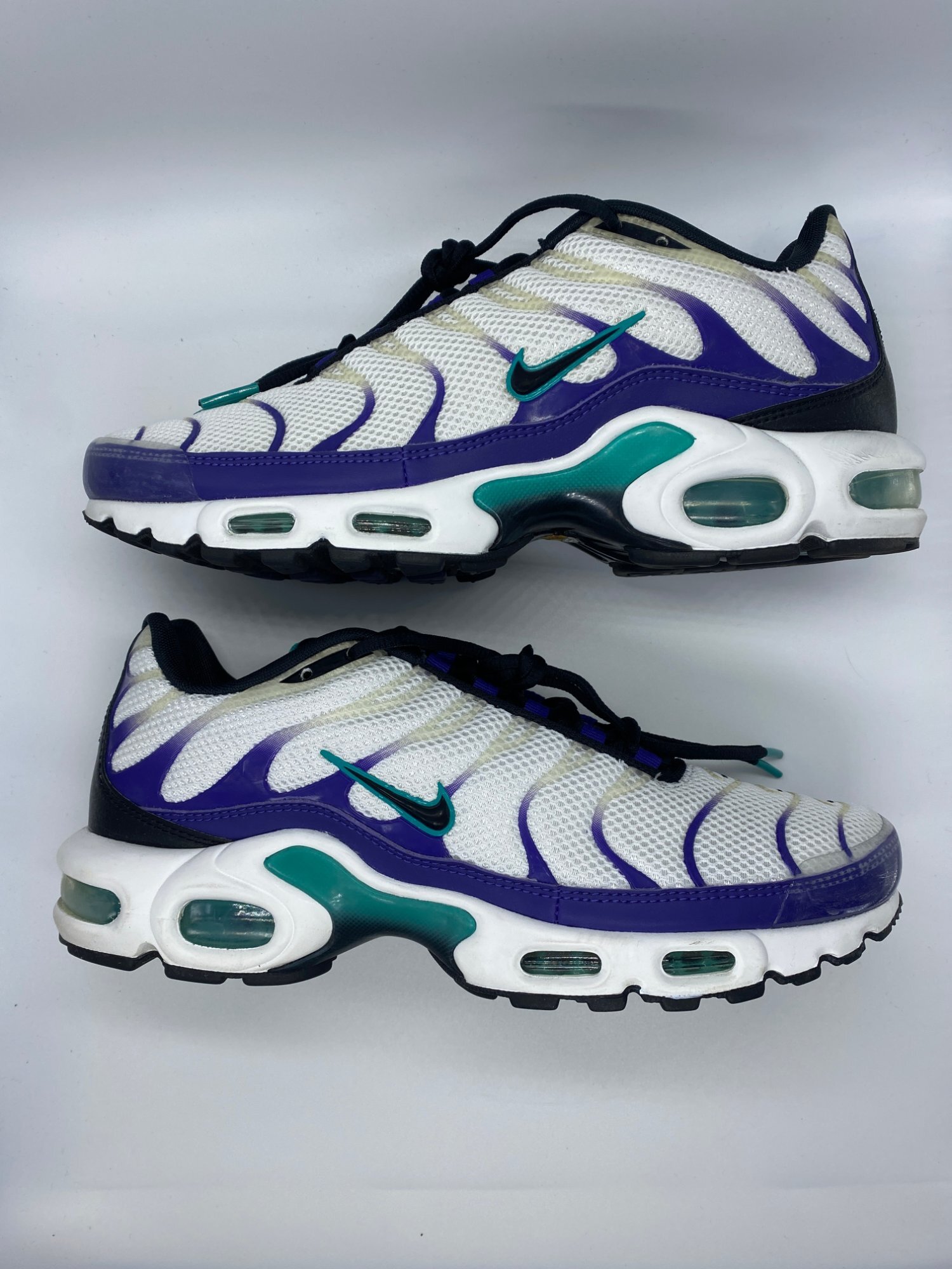 Nike TN Air Max Plus Grape (2022) photo 1