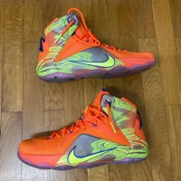 Nike LeBron XII 12 'Six Meridians' (2014)