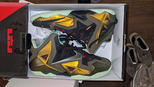 Nike LeBron XI 11 'King's Pride' (2013)