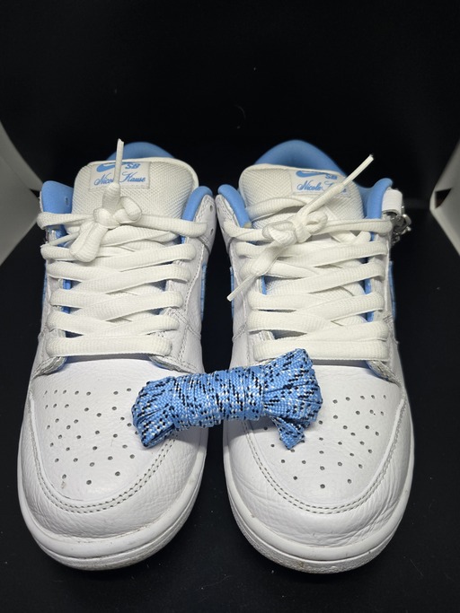 Nike SB x Nicole Hause Dunk Low (2024)