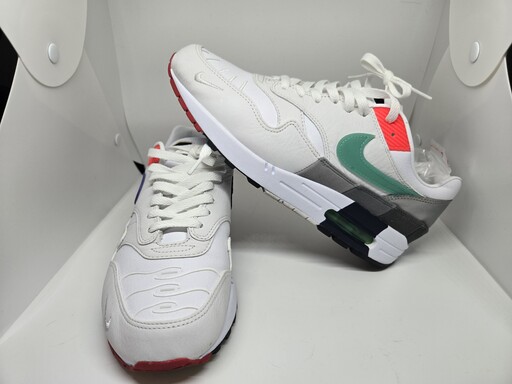 Nike Air Max 1 'EOI' (2021)