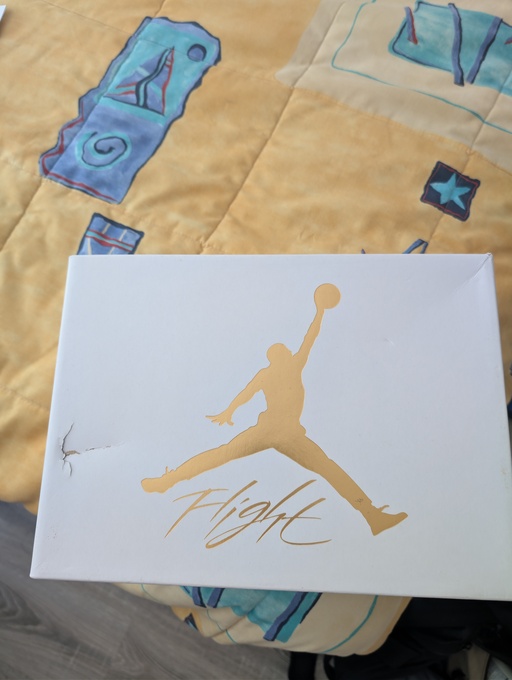 Air Jordan 4 WMNS 'Metallic Gold' (2024)