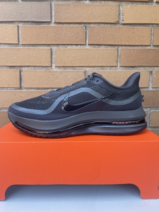 Nike Pegasus Premium 'Anthracite' (2025)