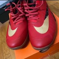 Nike Hyperlive low Limited 'All Star' photo 8