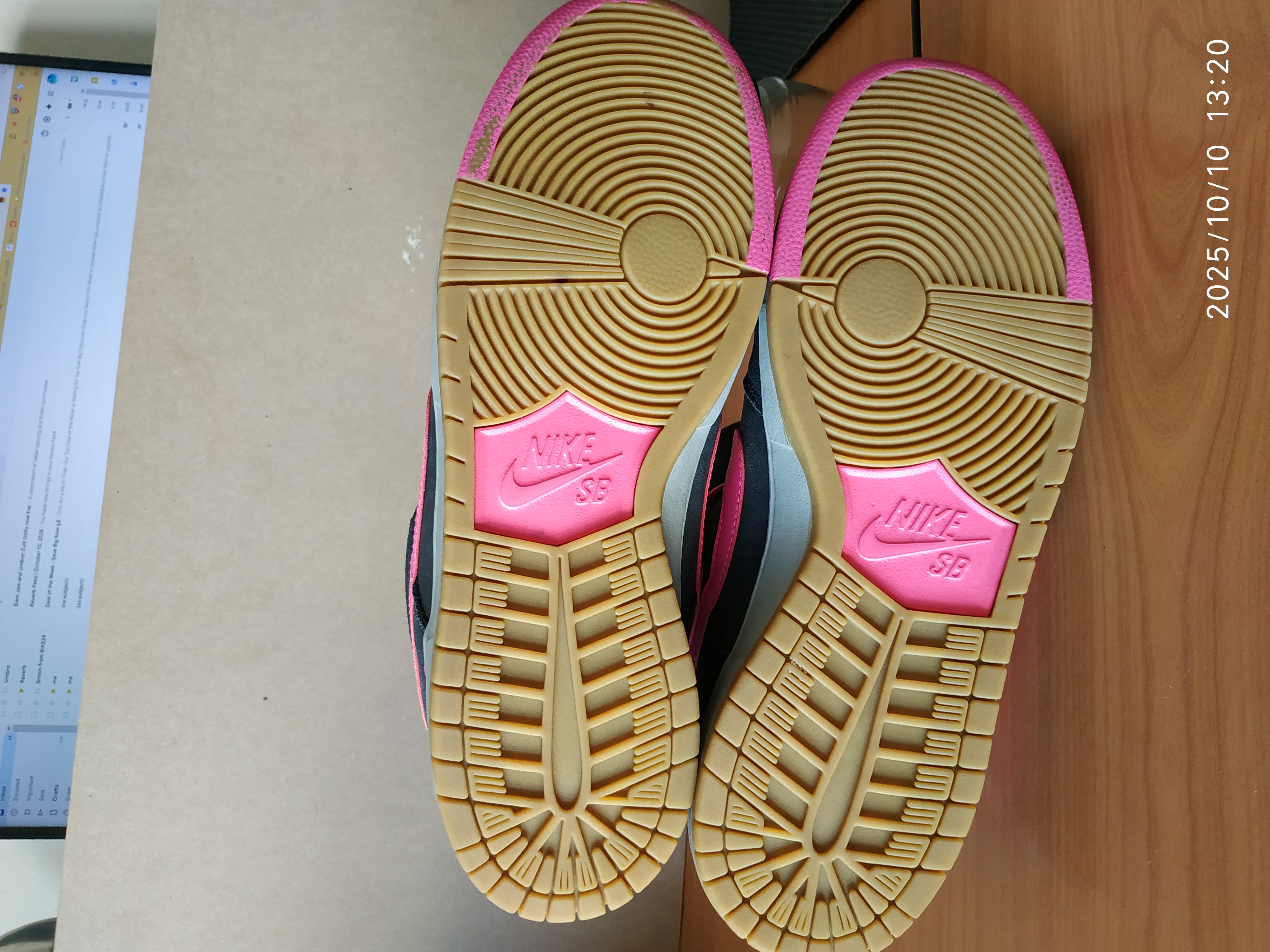 Nike Dunk SB Low Disposable photo 5