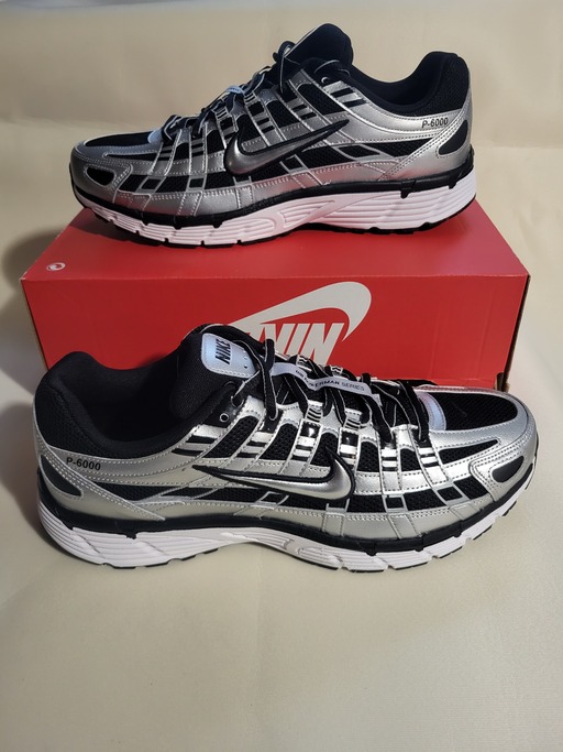 Nike P-6000 'Metallic Silver Black White' (2025)