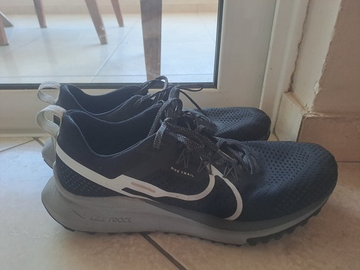 Nike Pegasus Trail 4 'Black Wolf Grey' (2023)