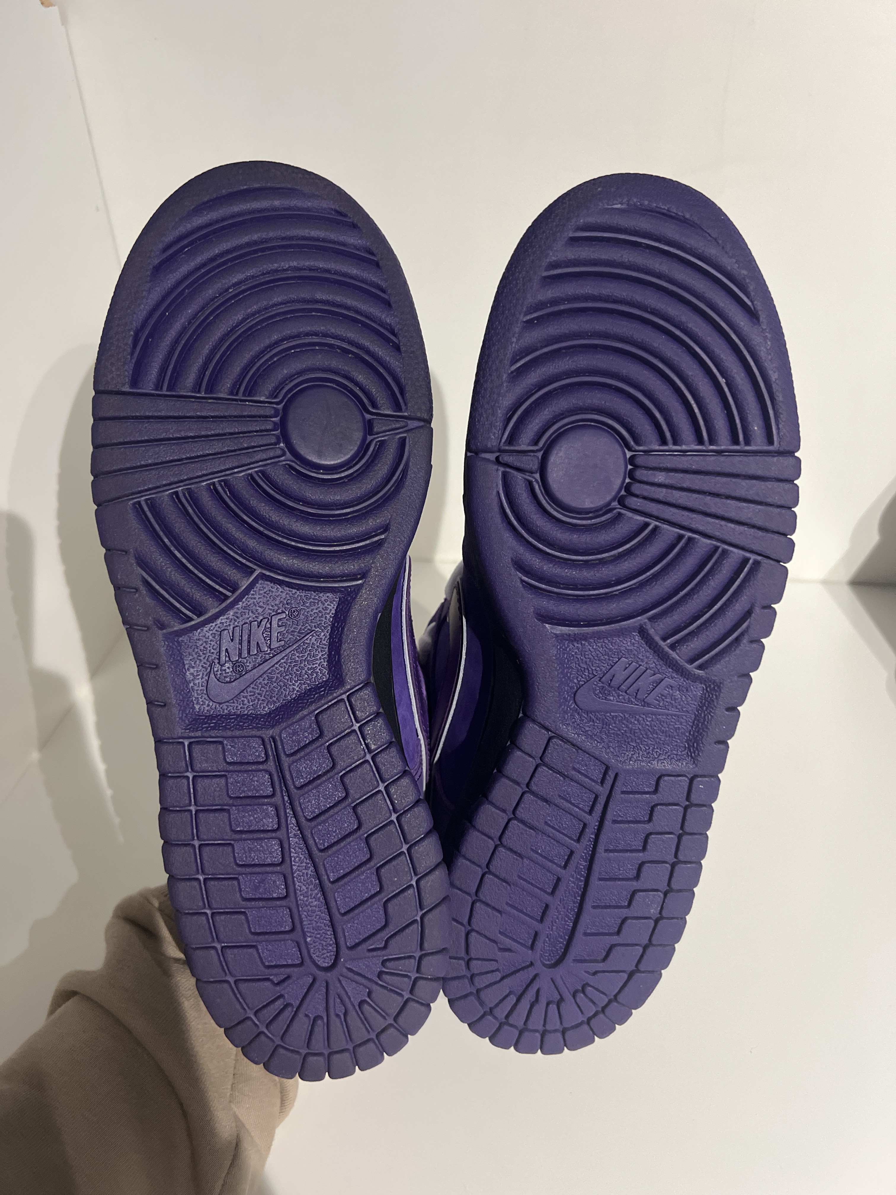 Nike SB x Concepts Dunk Low 'Purple Lobster' (Special Box) (2018) photo 5