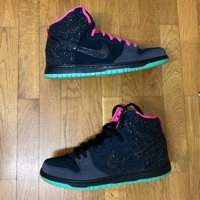 Nike SB Dunk High Premium 'Northern Lights' (2014) photo 1