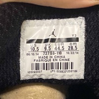 Air Jordan 29 'BHM' (2015) photo 6