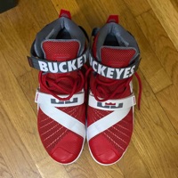 Nike Lebron Soldier 9 PRM Ohio State Buckeyes photo 3