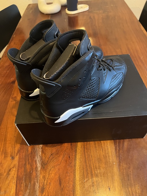 Air Jordan 6 Retro 'Black Cat' (2016)