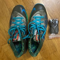 Nike LeBron X Low 'Reptile' photo 3