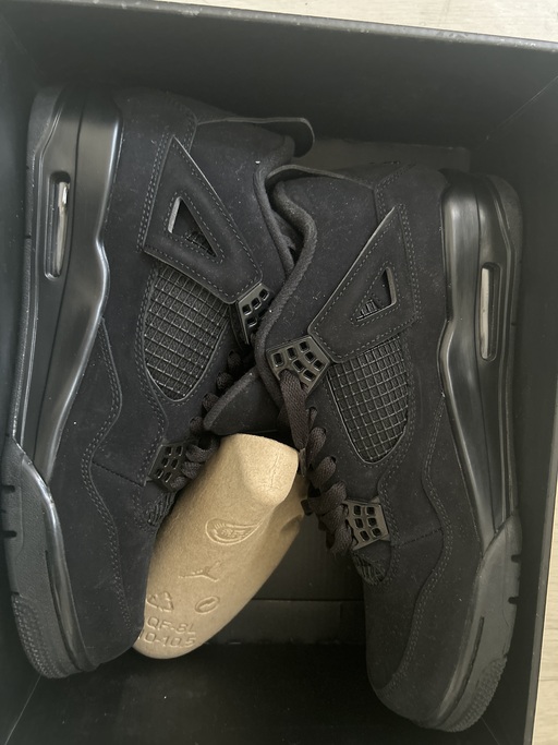 Air Jordan 4 Retro 'Black Cat' (2020)