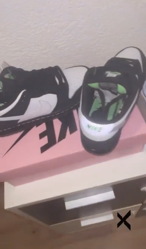 Nike SB Dunk Low Staple 'Panda Pigeon' (2019)