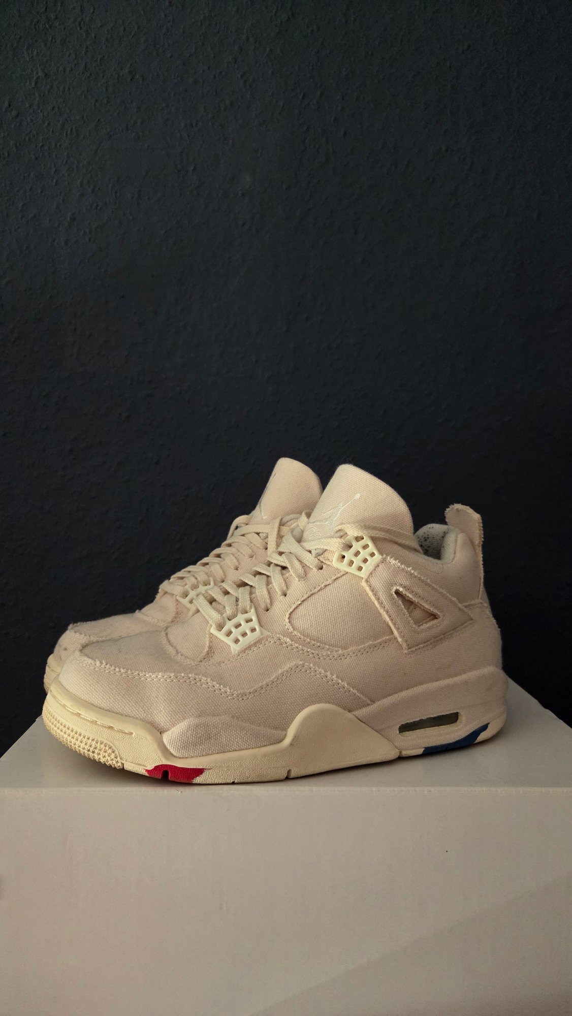 Air Jordan 4 WMNS 'Blank Canvas' (2022) photo 1