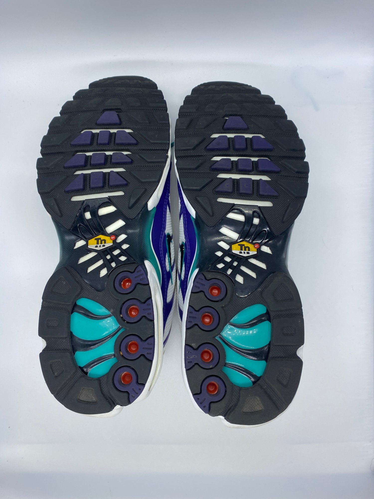 Nike TN Air Max Plus Grape (2022) photo 5