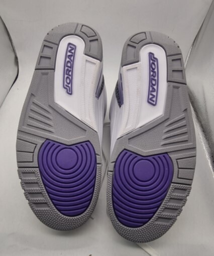 Air Jordan 3 Dark Iris (2022) photo 5