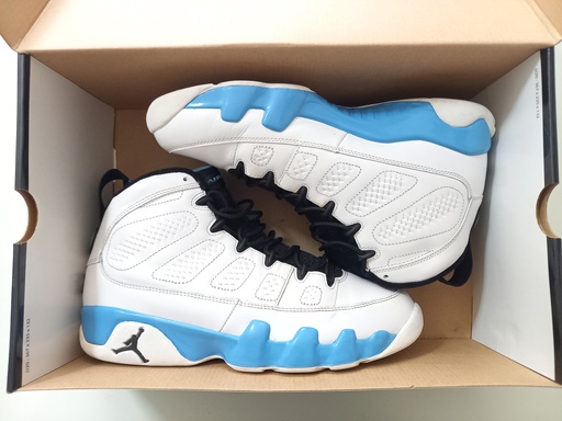Air Jordan 9 Retro 'Powder' (2010)