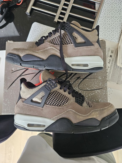 Air Jordan 4 Retro 'Taupe Haze' (2021)