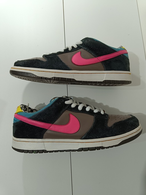 Nike Dunk SB Low 720 Degrees