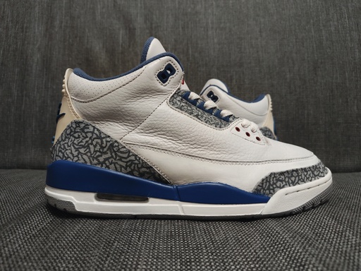 Air Jordan 3 Retro True Blue (2009)