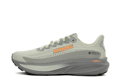 Brooks Ghost 17 GTX