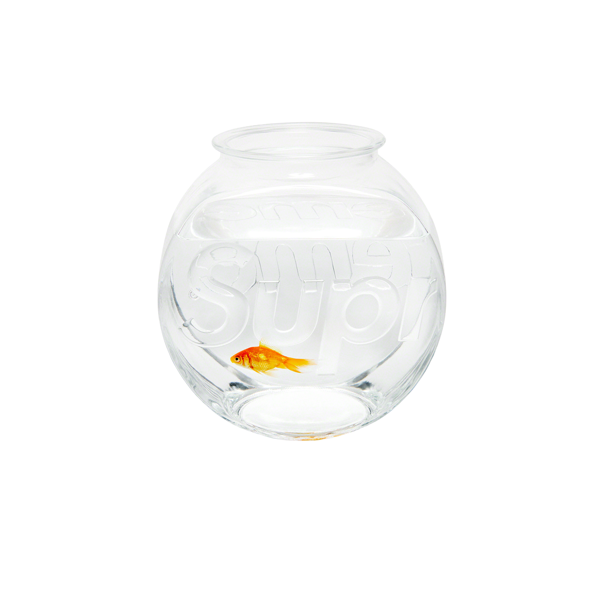 Supreme Fish Bowl Clear (FW20) sneaker – authenticated on KLEKT