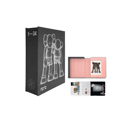 Kaws :ALONG THE WAY Monograph 2020 (FW20)