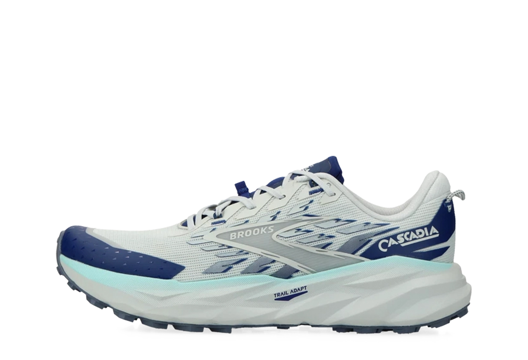 Brooks Cascadia 19 'Blue' (2025) Blue/Gray/Bellwether sneaker – authenticated on KLEKT