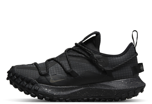 Nike ACG Mountain Fly Low GORE-TEX 'Dark Smoke Grey' (2022)