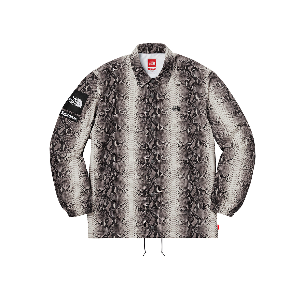 Supreme x The North Face Snakeskin Taped Seam Coach TNF Jacket