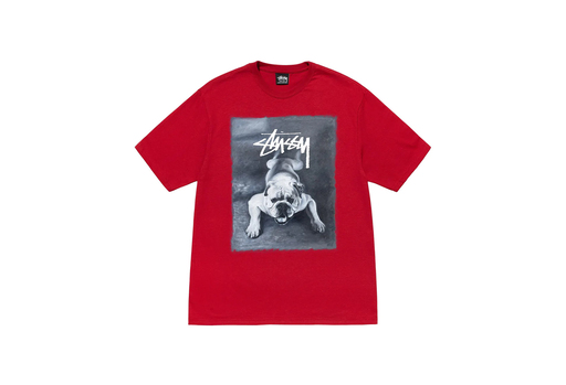 Stussy Bulldog Tee Red (FW22)