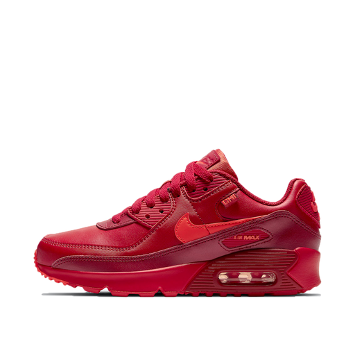 Nike Air Max 90 City Special Chicago (GS) (2021)