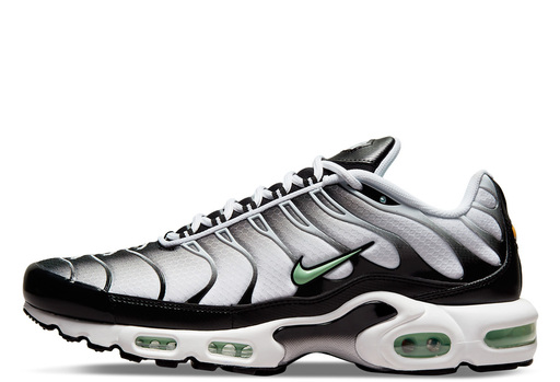 Nike TN Air Max Plus Seafoam Grey Black