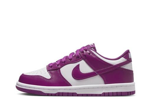 Nike Dunk Low GS 'Viotech' (2024)