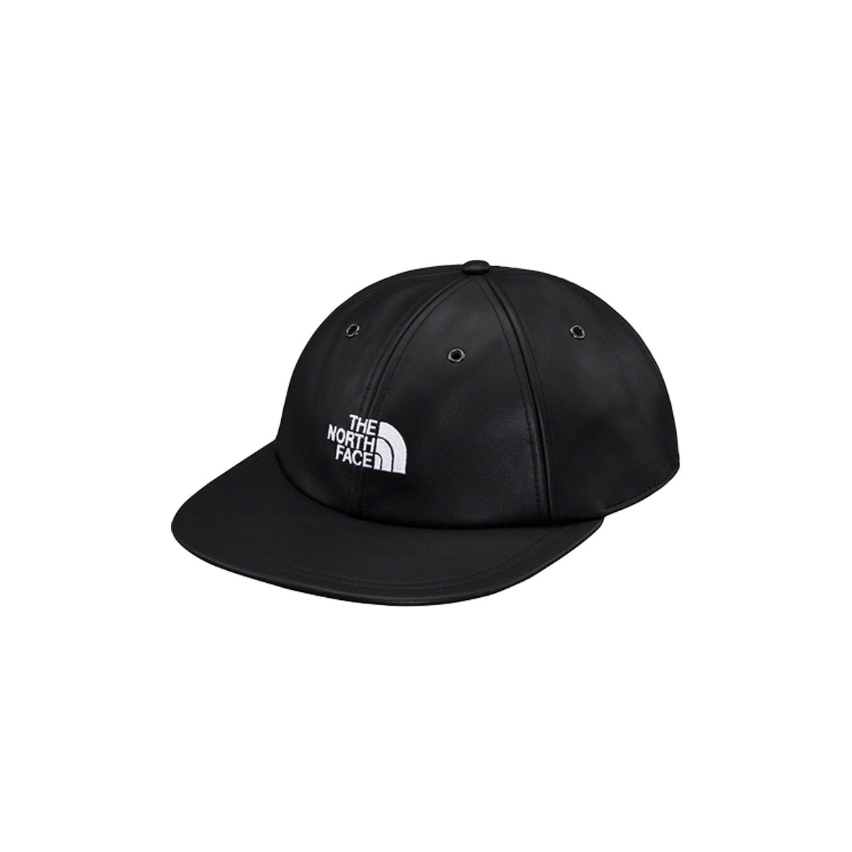 Supreme x The North Face Leather 6-Panel Hat Black (FW18) sneaker – authenticated on KLEKT