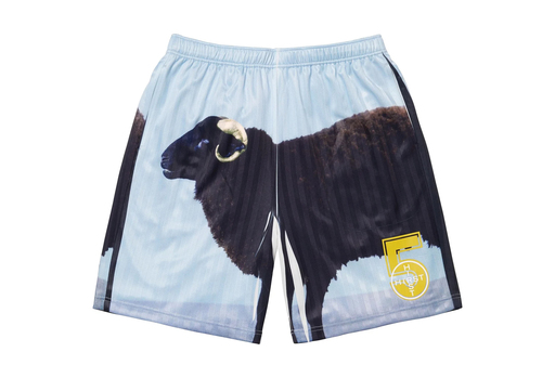 Supreme x Damien Hirst Soccer Short 'Black' (SS25) – authenticated on KLEKT