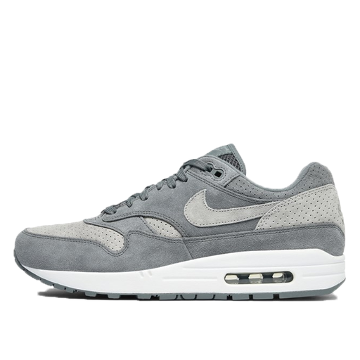 Nike Air Max 1 Cool Grey Wolf Grey (2018)