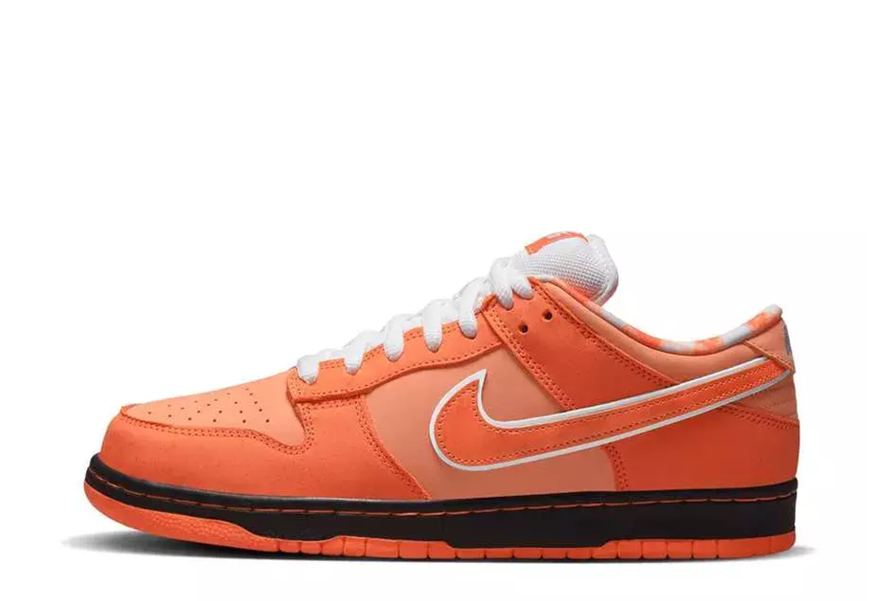Nike SB x Concepts Dunk Low 'Orange Lobster' (2022) Special Box ORANGE/ORANGE-WHITE sneaker – authenticated on KLEKT