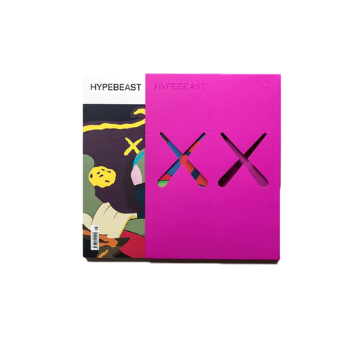 Kaws Hypebeast Issue 16 The Projection Re-release Magazine Pink (FW16)