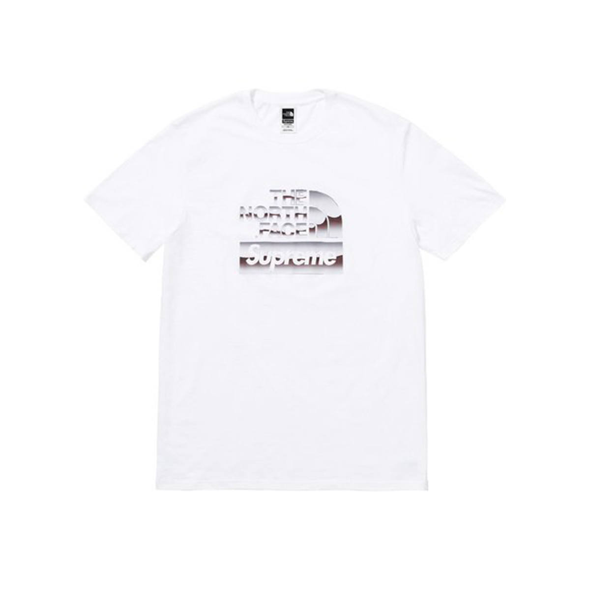 Supreme x The North Face Metallic Logo T-Shirt Tee White (SS18) sneaker – authenticated on KLEKT