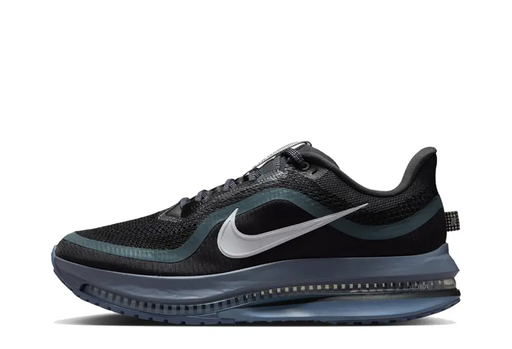 Nike Pegasus Premium 'Anthracite' (2025)