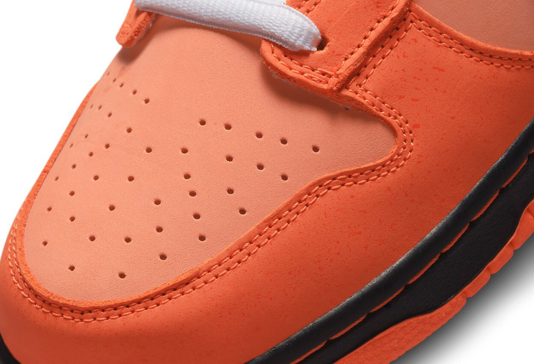 Nike SB x Concepts Dunk Low 'Orange Lobster' (2022) ORANGE/ORANGE-WHITE sneaker – authenticated on KLEKT