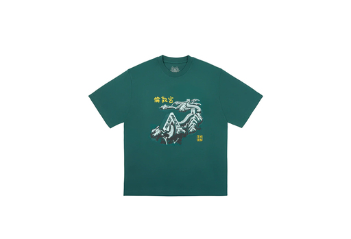 Palace Great Wall Of Tri-Na T-Shirt 'Racey Green' (FW24) – authenticated on KLEKT