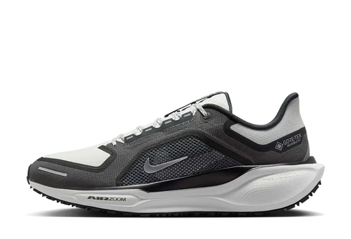 Nike Pegasus 41 GORE-TEX 'Anthracite Iron Grey' (2026)