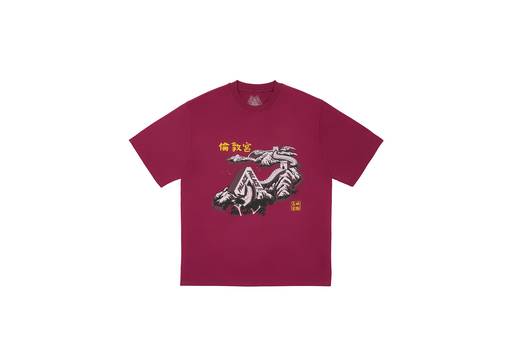 Palace Great Wall Of Tri-Na T-Shirt 'Berg' (FW24) – authenticated on KLEKT