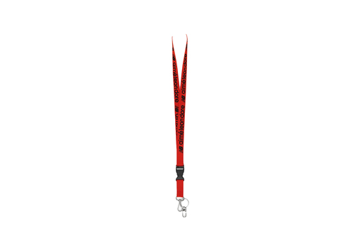 Aimé Leon Dore x New Balance 991 Lanyard