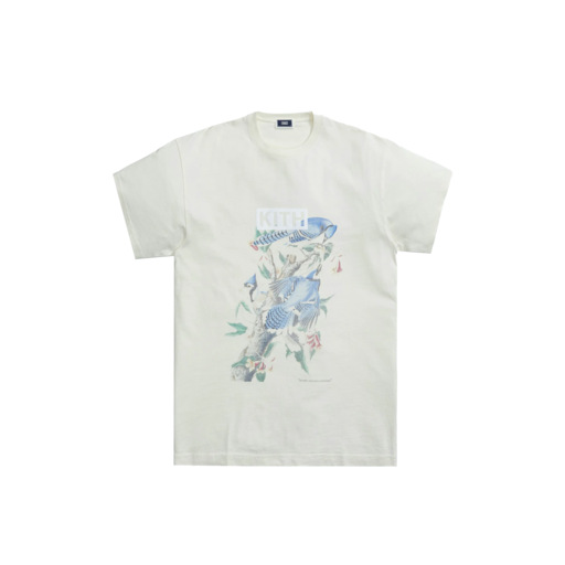 Kith Cruel Bird Vintage Tee Sandrift (SS21)